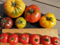 Ferme de Carcouet - Tomates Bio - 2 kg