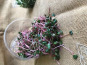 Le Maraîcheur - Micropousse de radis 50g