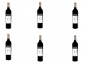 Domaine de Bilé - IGP Vin Côtes de Gascogne Rouge Vendanges Mains - 6 Bouteilles de 75 cl