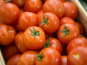 Des Poules et des Vignes à Bourgueil - Tomates du potager