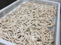 Lioravi, l'authentique pâte fraîche ! - Pâtes Fraîches - Udon - 1kg