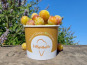 O Maribelle - Mirabelles IGP de Lorraine - BIO - 5kg