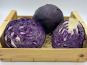 Le Panier du Producteur - Chou Rouge - 1 Kg