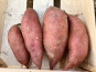 La Ferme du Salabel - Patate douce BIO 5kg