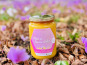 Domaine du Chillou - Miel de fleurs d'été