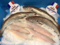 AQUADIS NATURELLEMENT - [caisse 2kg] Filets De Merlan Sans Peau Et Sans Arêtes 80/150gr