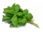 Les Champs Paradis - Basilic frais 40g