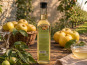 Pom Bio Berger - Sirop de Pommes Bio 25cl