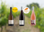 Domaine de la Chopinière du Roy - Coffret cadeau découverte vins de Loire Apéro Ligérien (vin rouge, blanc et rosé) - 3 x 75 cl