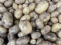 Le Potager de Sainte-Hélène - Pomme de terre nouvelle 1kg