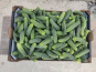 Ferme de la ville basse - Cornichons  Bio Mix très fin-extra fin 2kg