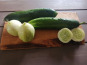 Ferme de Carcouet - Concombres Mélange Bio - 1 kg