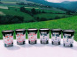 Les Glaces de la Vallée - Coffret Yaourt et Fruits glacés "la Vallée" 6x500ml
