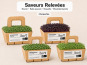 Ma Micropousse culinaire - Micro-pousses bio – Pack Saveurs Relevées – Brocoli, radis, roquette & moutarde – 4 barquettes