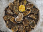 Aquaculture Chez Jaouen - Huîtres creuses fines du Morbihan N°2x72