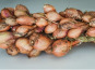 Maison Quéméner - Tresse d'échalotes traditionnelles - 500g - lot x 10 pièces