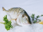 Côté Fish - Mon poisson direct pêcheurs - Marbrés 500g