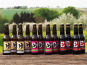 Micro brasserie Blessing - PACK BIERES – 4 blanches + 4 IPA + 4 stouts – 12x33cl