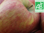 Mon Petit Producteur - Pomme Topaze Bio - 1kg