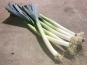 La Boite à Herbes - Poireaux - 1kg