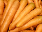 Ferme Joos - Carottes nouvelles vrac - 1Kg