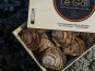 Jean Luc Le Gall Huîtres et Coquillages - Huitres plates Grosses x 50 PIECES