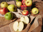 Le Verger de Crigne - Colis 4kg Trio De Pommes Bio