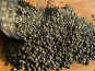La Ferme du Joyeux Laboureur - Lentilles vertes en vrac 1kg