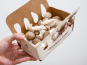 Les Myconautes - Pleurotes panicaut Bio - Barquette 250g