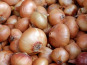 Domaine Reverchon - Oignions Jaune 1Kg