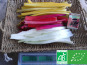 LES JARDINS DE KARINE - Côtes de blettes - 1kg