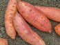 La Ferme de Goas Per - Patate douce 400gr bio