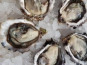 Camargue Coquillages - Huîtres La Perle de Camargue N°4 - 10kg