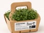 Ma Micropousse culinaire - Micro-pousses bio de brocoli Calabrese – 4 barquettes