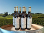 Château Haut-Lamouthe - Bergerac Rouge AOC - 6x75cl