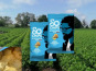 SO CHiPS - Chips aux Oignons caramélisés label Qualité Artisan • 32x40g