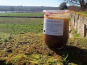 Domaine des Alliers -  Bœuf d'exception - Axoa de bœuf des Alliers, bio  - 940 g -