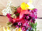Nature et Saveurs - Ferme Aquaponique et Permacole Astérienne - Fleurs Fraiches & Comestibles en mélange (200 pièces)