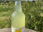 Ferme Sinsac - Pétillant  de Mimosa sans alcool