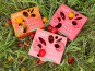 Agriloops - Double assortiment de tomates Agriloops 1,5kg