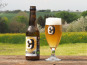 Brasserie Blessing - LA RIEUSE, bière blanche (bière de blé) de fermentation haute – 12x33cl