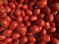 La Ferme d'Artaud - Tomates italiennes - 10 kg