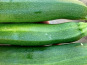 ChâteauFer - Courgette