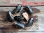 Camargue Coquillages - Très Grosses Moules de Camargue - 1kg