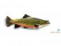 Ma poissonnière - Saumon de fontaine lot de 1kg