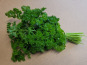 Le Pré de la Rivière - Bouquet de Persil frisé