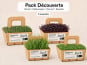 Ma Micropousse culinaire - Micro-pousses bio – Pack Découverte – Brocoli, radis pourpre, pois vert & roquette – 4 barquettes