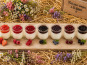 Gaec de l'Elanion - Lot de 16 yaourts mélangé spécial fruit rouge