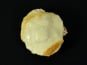Poissonnerie Robert - Coquille Saint-Jacques