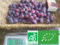 LES JARDINS DE KARINE - Prune Damas - 5kg